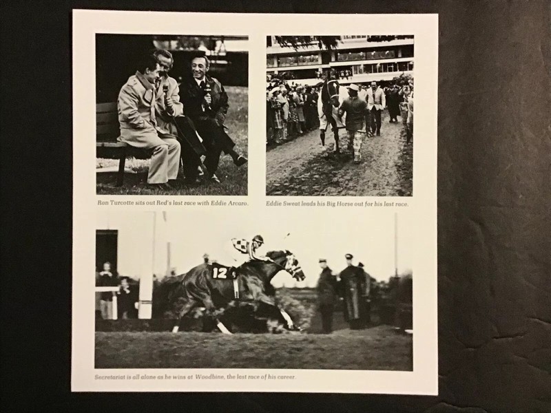 SECRETARIAT  FINAL RACE photo Horse Racing 1973 WOODBINE LAST RACE