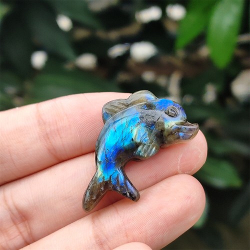 25Kinds Natural Labradorite Quartz Crystal Carved Skull Reiki Healing Decor - Picture 50 of 135