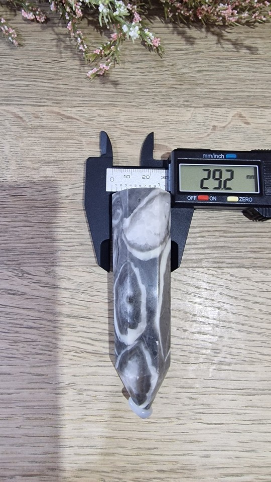 Thousand Eye Jasper Crystal Tower Point 115g 10cm Shell Jasper Reiki ...