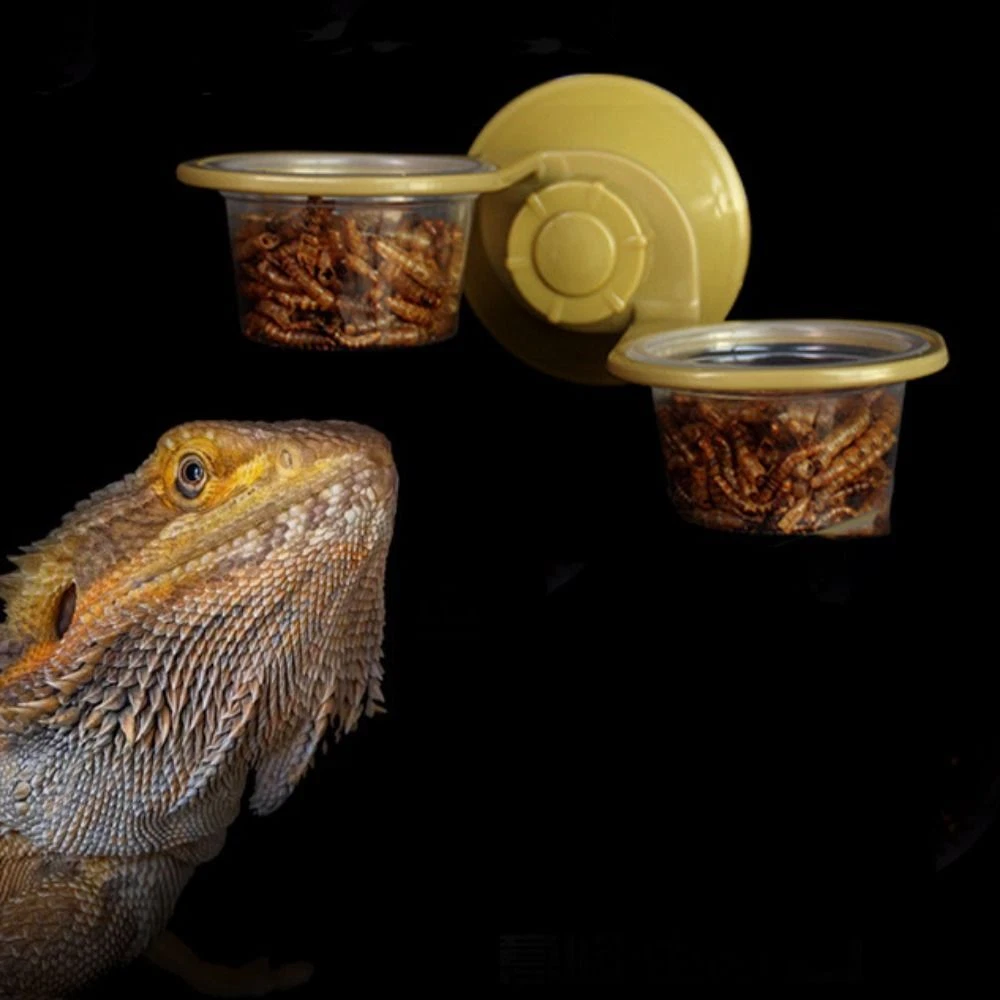 Bearded dragon food and water clearance bowls