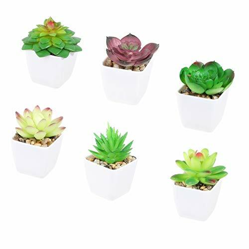 Tifuly 6 Pezzi Piante succulente in Vaso Artificiali, Piante grasse (i3C)