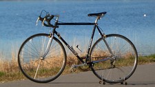 VINTAGE-RARITÄT: Rennrad FAGGIN "Gold-Edition", RH58, Columbus-Rohr, 1980er