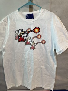 champion x nintendo