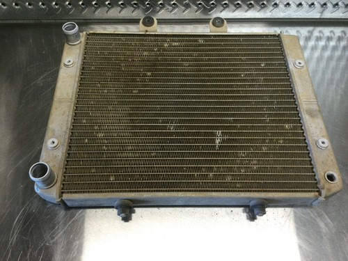 2005 POLARIS SPORTSMAN 800 EFI RADIATOR 1240521 1240190 S003C - Foto 1 di 6
