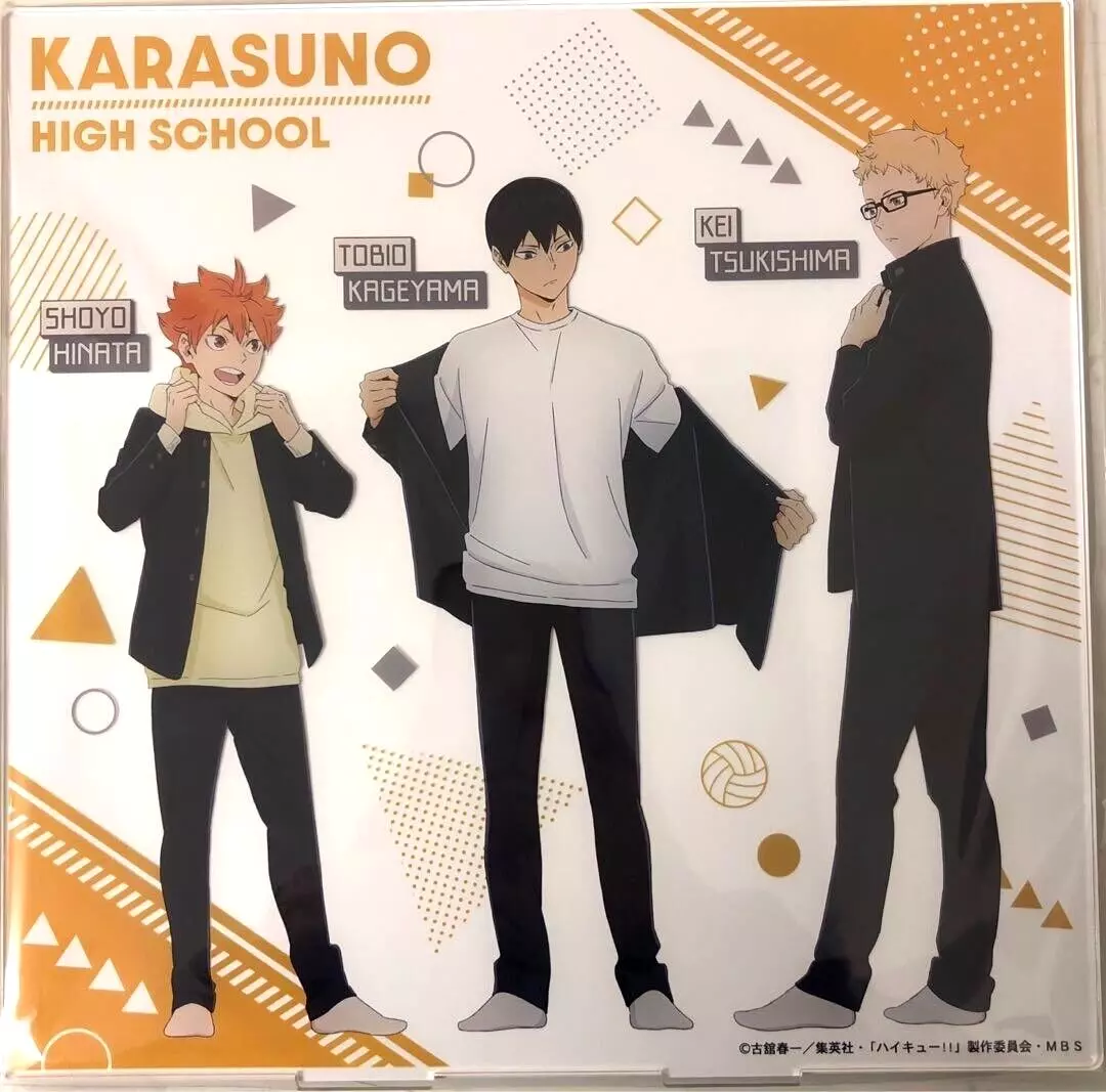 Haikyuu, Anime, Karasuno, Team, Shoyo Hinata, Tobio Kageyama