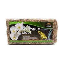 Sphagnum Moos 150g &ndash; Premium Torfmoos f&uuml;r Pflanzen, Terrarium & Orchideen