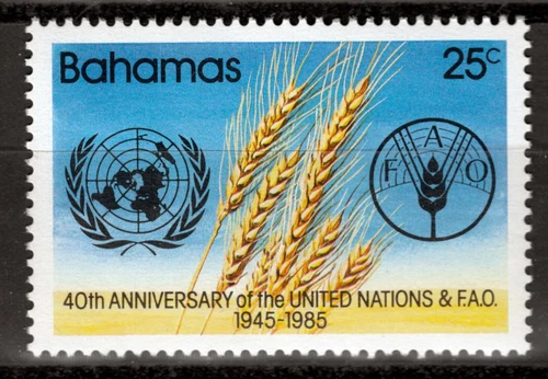 Bahamas 599, 40 Years UNO