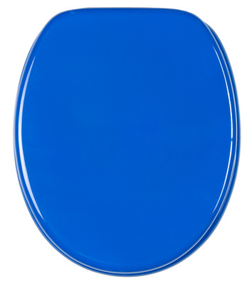 KLOBRILLE TOILETTENSITZ TOILETTENBRILLE WC BRILLE DECKEL KLOSITZ EINFARBIG BLAU