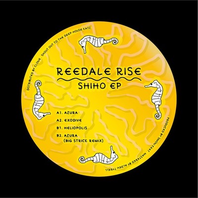 Reedale Rise - Shiho Ep Big Strick Remix (Vinyl 12'' - 2025 - EU - Original)