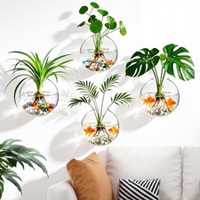 Window Propagation Stations, Wall Hanging Planters for Hydroponics