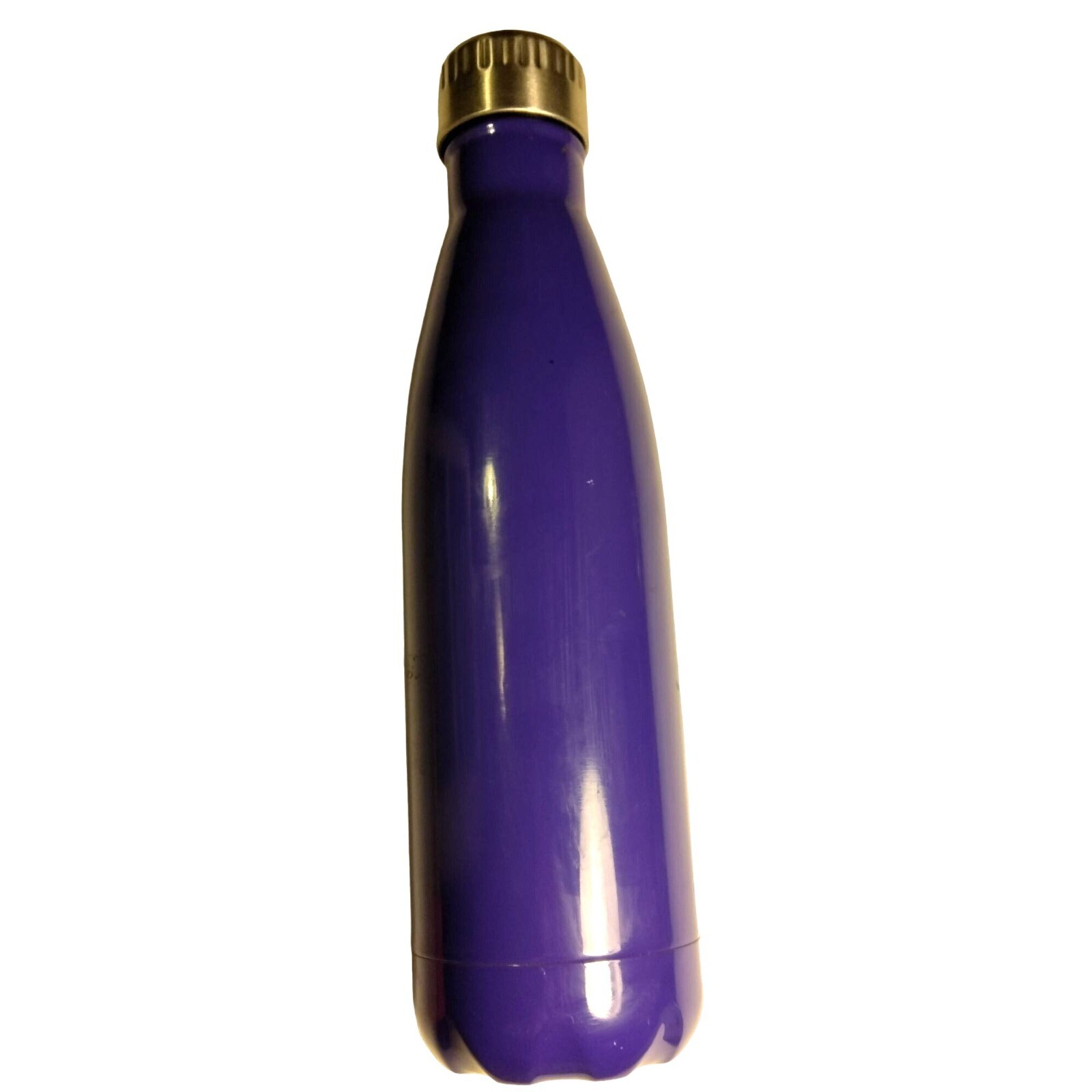 Everyday Living Purple Metal Water Bottle Tall Travel Stainl