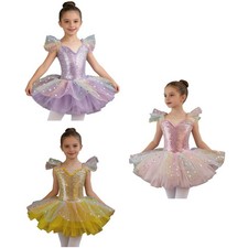 Girls Tutu Dress Embroidery Leotards Party Dancewear Leotard Bodice Dance Dress