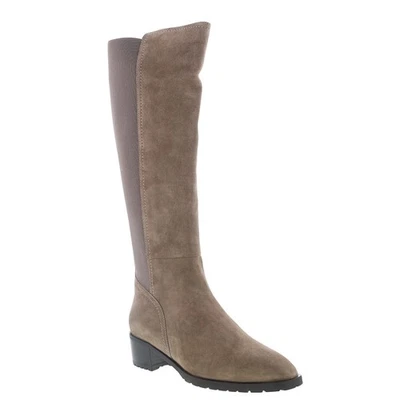 Aquatalia Rhegan non spécifié pour femmes en suede gris - Photo 1/4