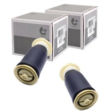 2X ESEN SKV LUFTFEDERN HINTEN passend für BMW X5 X6