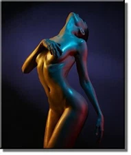 Woman Nude Body Picture on Stretched Canvas, Wall Art Décor, Ready to Hang