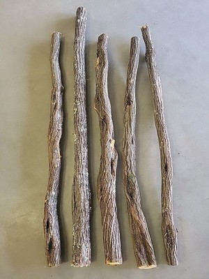 Random MN Diamond Willow Craft Blank Walking Stick Carving Wood 43'' To 55''
