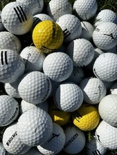 100, Miscellaneous Practice Range Shag Golf Balls
