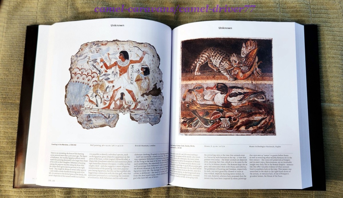 ANIMAL: Exploring The Zoological World HARDCOVER Phaidon Books