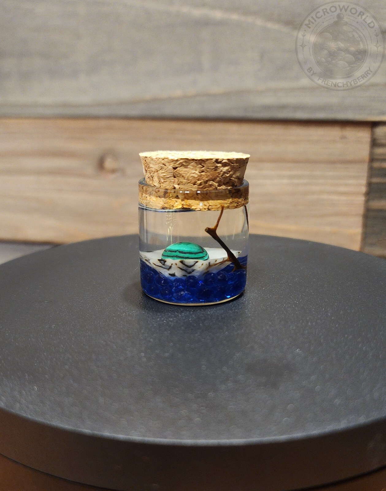AquaScape Crystal Ball Terrarium, Ecosystem,Ecosphere, Desktop DIY