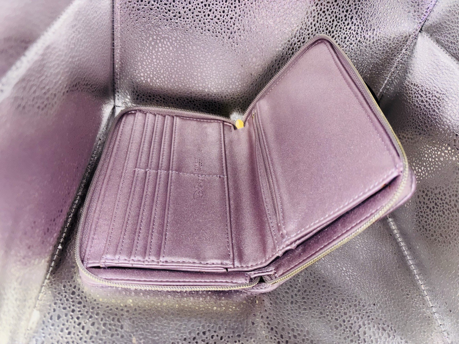 Disney Danielle Nicole Beauty and the Beast CHIP … - image 2