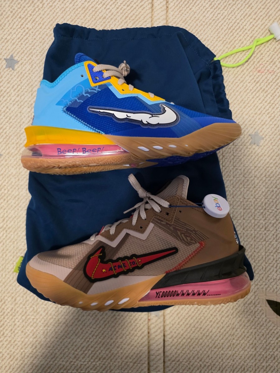 Nike Space Jam x LeBron 18 Low Wile E. Roadrunner Men's Size 10 | eBay