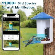 Solar 2.4GHz WiFi Smart Bird Feeder W/ Camera 1080P HD Double Filter Auto Switch