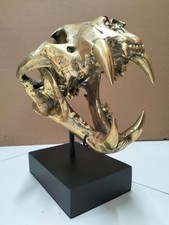 ON STAND made of Brass Saber Tooth Tiger Head Skull Decor Statue 33cm Long Jaw