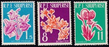 Albania 1961 MNH Mi 633/35 Complete Set Albanian Flowers