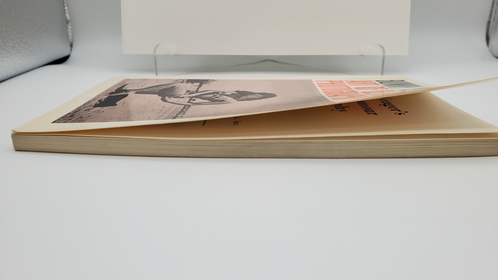 BUNNY YEAGERS ART OF GLAMOUR PHOTOGRAPHY BETTIE PAGE SB (1973) ORIGINAL