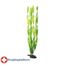 RA Green Jungle Vallisneria - 16"