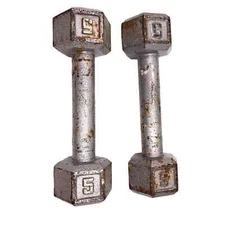VTG (2) CAP SDG-005 5lb Barbell Solid Hex Dumbbells - set of 2= 10 lbs