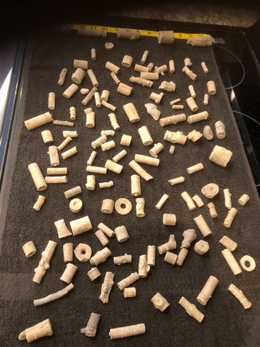 Crinoid stem fossils  2# 11oz.  lot of 130 pieces from Indiana