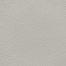 Nissan Cotton Leather Dye