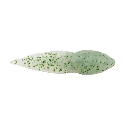 Berkley Gulp! Alive! Tadpole Soft Bait 1.25 In Chive Tapered Tail 2.1 Oz Jar
