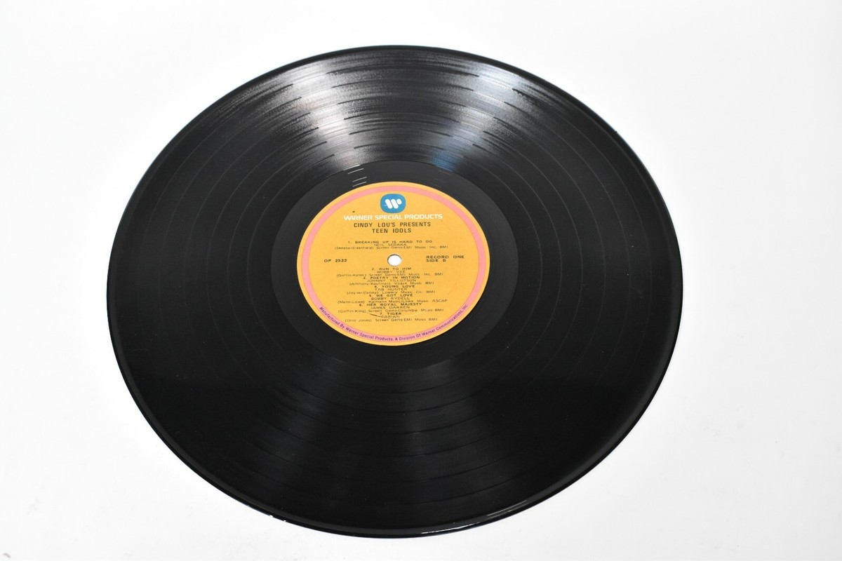 Various - Teen Idols, VINYL LP | eBay