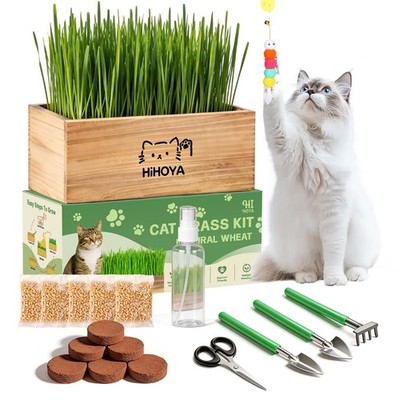 Indoor Cat Grass Kit  5 Pack Wheat Grass, Coconut Soil, Planter & Tools