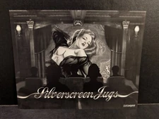 1/24 scale Zotz decals Silverscreen Jugs (P-47D Thunderbolt) #ZTZ24/001