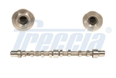 CM05-2199 FRECCIA Nockenwelle für BREMACH,FIAT,IVECO,UAZ