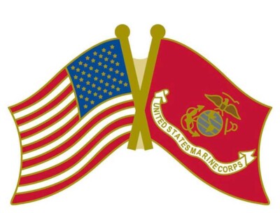 Pack of 12 USA and Marines Flag Bike Motorcycle Hat Cap Lapel Pin HP4935