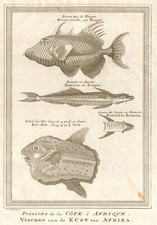 West African Fish. Filefish. Remora or suckerfish. Ocean Sunfish. SCHLEY 1747