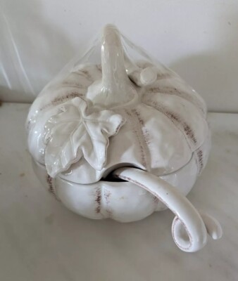 Mikasa Countryside Harvest Pumpkin-shape Soup Tureen-Srvwr 10'' W Ladle NEW JA168