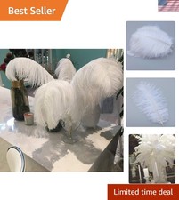 Dazzling 8-10 Inch White Ostrich Feathers - Perfect for Home Decoration Crafts