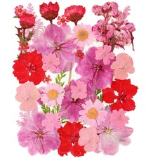 35 Pcs Dried Pressed Flowers for Resin, Pink Real Pressed Flowers Bulk Natura...