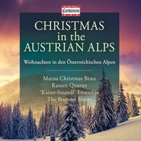 Various Artists - Christmas In Austrian Alps - Cd - G4Z