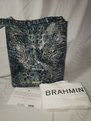 large amelia brahmin