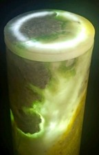 Handmade Core Drilled Burmese Jadeite Jade Lamp Cylinder Glow Translucent Green