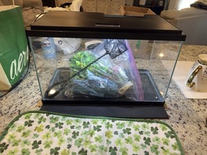 Glass Aquarium Kit with Lid, Mat, Fish Net, and Decorations