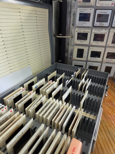 Jewish Art History Collection Of 600+ Slide Transparencies With Detailed Info.