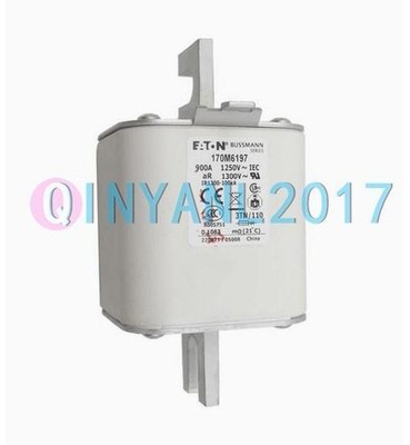NEW ONE      Fuse 170M6197 *tn