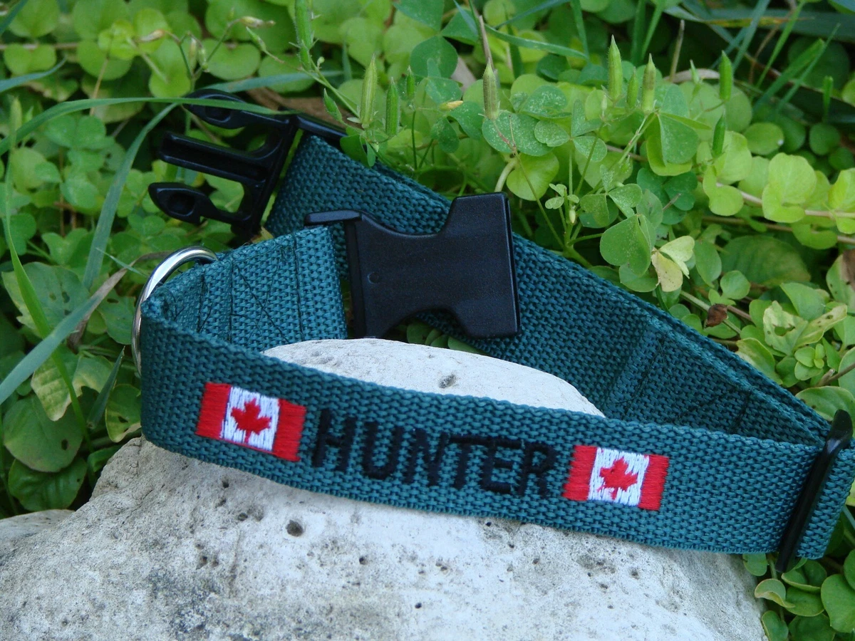 Design a dog collar cheap